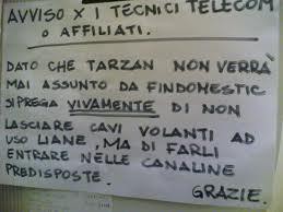 Niente tarzan...peccato!