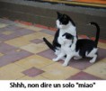 /album/settembre/a14-jpg/